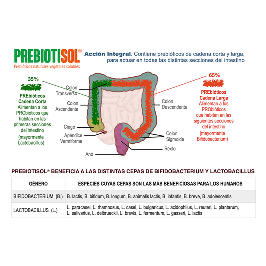 Prebiótico Natural Prebiotisol.