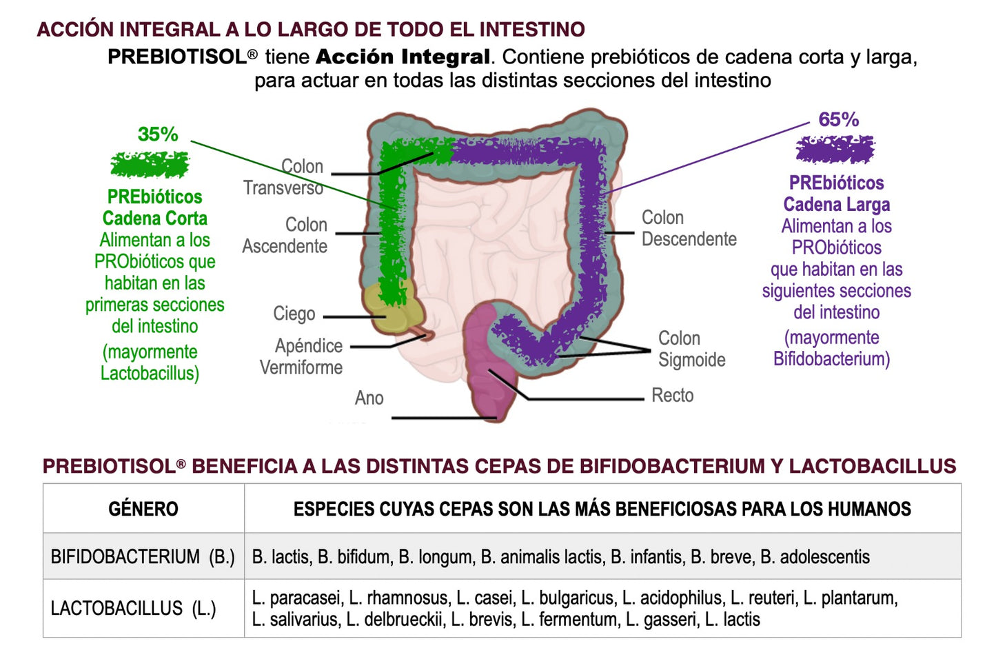 Prebiotisol 150 Gr Polvo.
