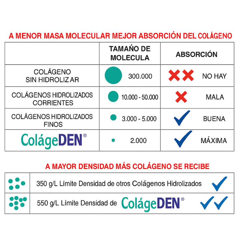 ColágeDEN® – Recupera tu movilidad y calidad de vida
